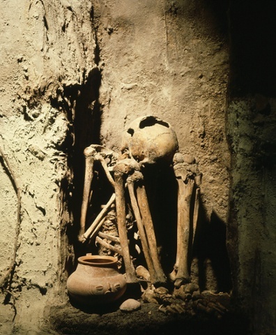 3860336e-e18d-4273-a5d7-ea092bf8bd9a-396x480