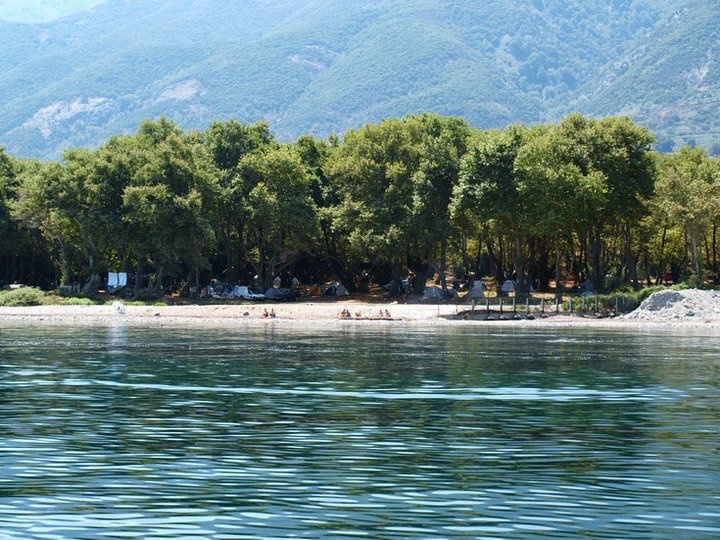 188404 10150121619812798 5935594 n