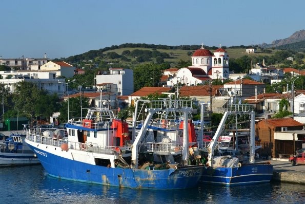 319382 10150933157887798 1810164402 n