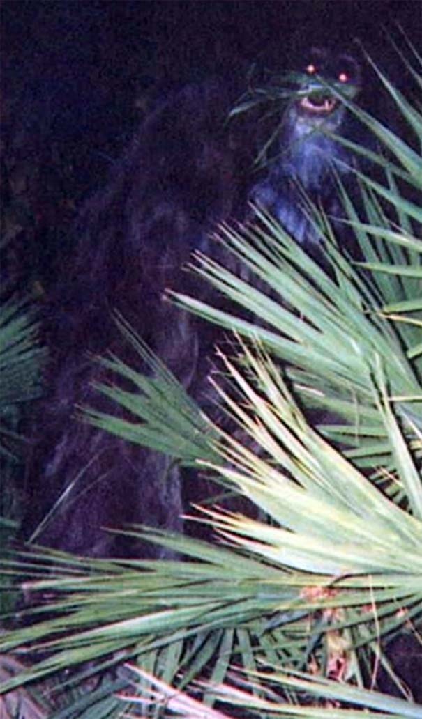 stoixeiwmenes-fwtografikes-istories-07