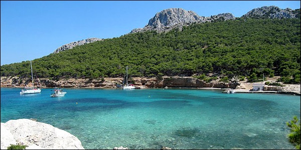 moni 600 167456 35F23H