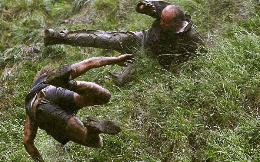 cheese-roll 2520744k