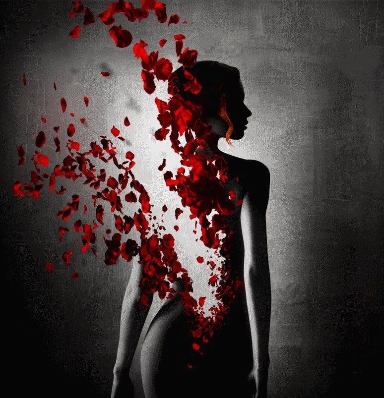 1450266 234418180056203 1271393373 n