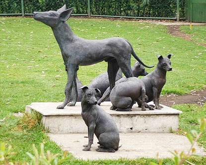 dolores-olmedo-museum