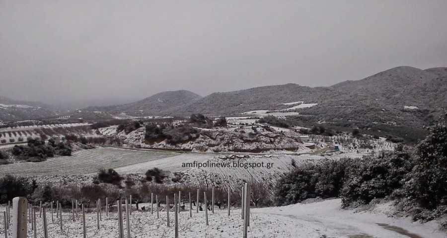 newego LARGE t 1101 54463535