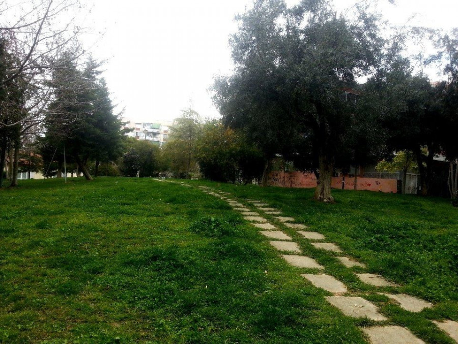 11026670 10206039992376661 628225803 n