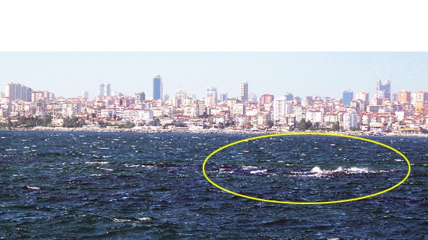 iste istanbul un kayip adasi 2399053