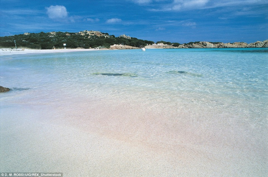 2941C92800000578 3106023 image a 39 1433236704261