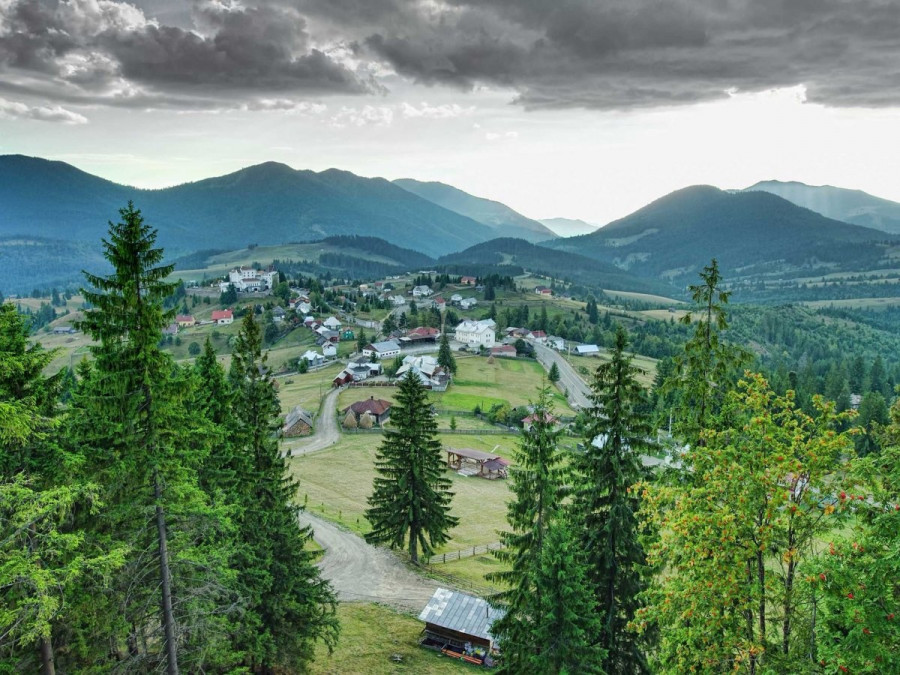 bucovina