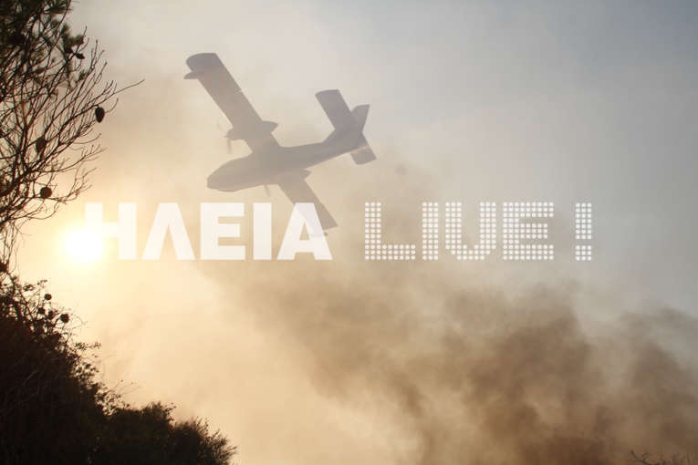 IMG 7184 a396a0f22500bf98b0cf10db0b706f8a