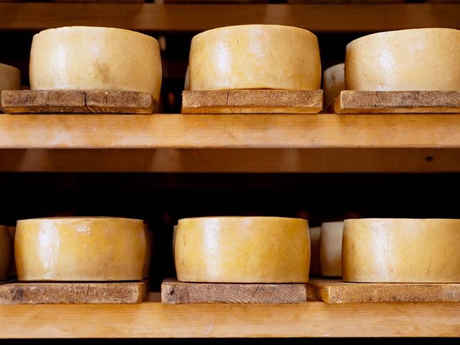 fagita gia ta opoia fimizontai 10 xwres 07