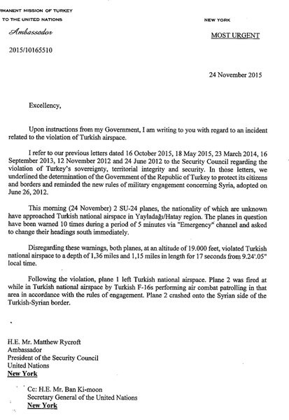 wikileaks foto simera