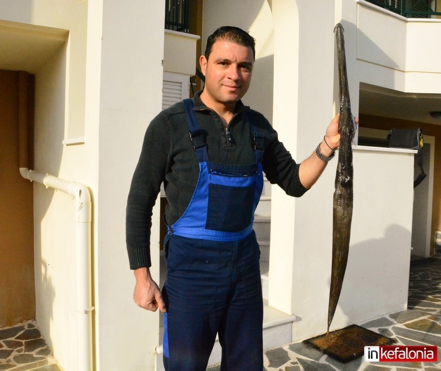 dhlhthriodes psari 2