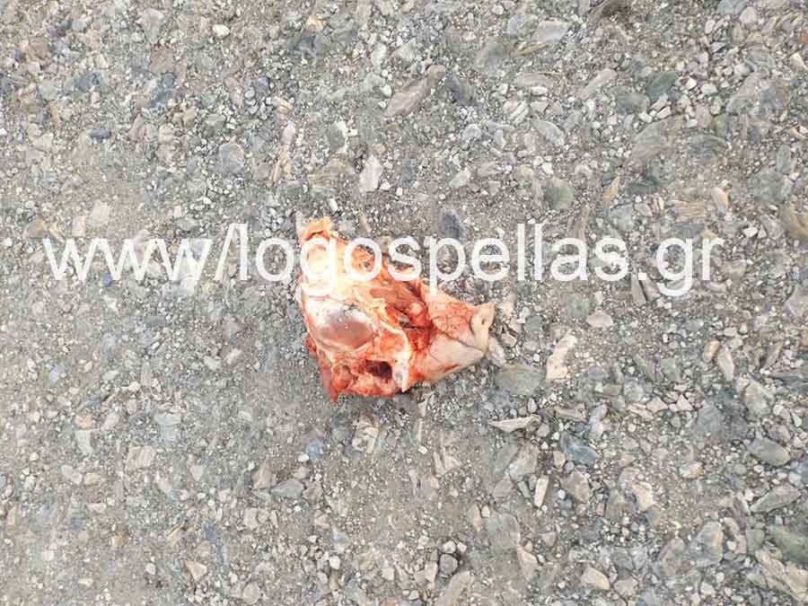 prosfiges stratopedo2