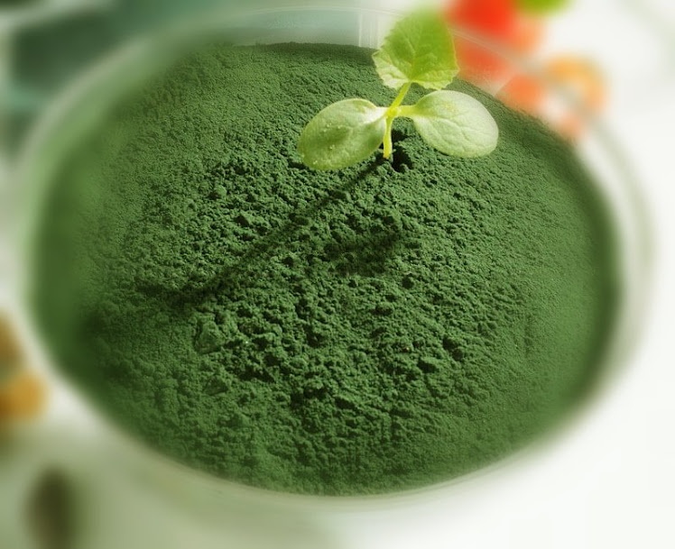 spirulina nb