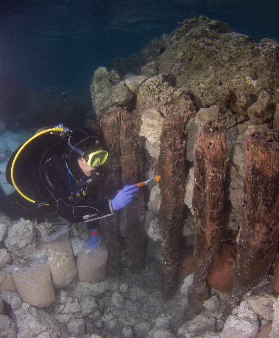 image 1482245964 67220650