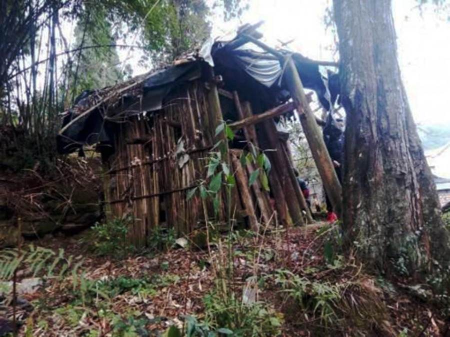 nintchdbpict000297372806