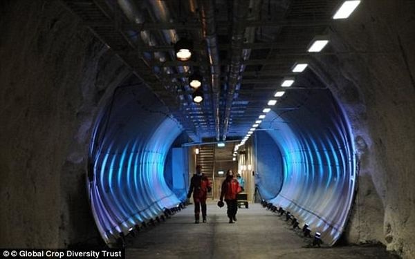 3EB6263300000578 4357644 image a 4 1490720262493