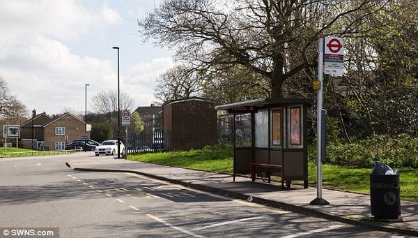 3EDD6AB700000578 4372442 image a 3 1491143053320