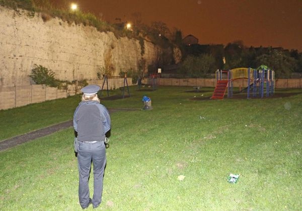 nintchdbpict000313864481