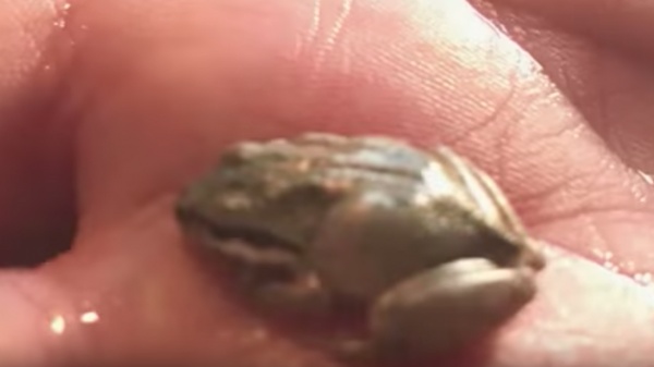 0d243697b680d01123a4ab09ac870d70 800x449