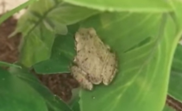 2d8b90182a712be7957c7f369adcc467 800x489