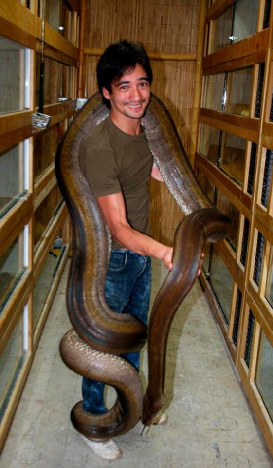 nintchdbpict000356058062