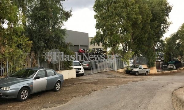 lempidakis krisfigeto2