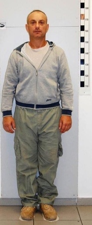 astynomia aselegeia2