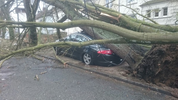 WhatsApp Image 2018 01 18 at 11.28.59