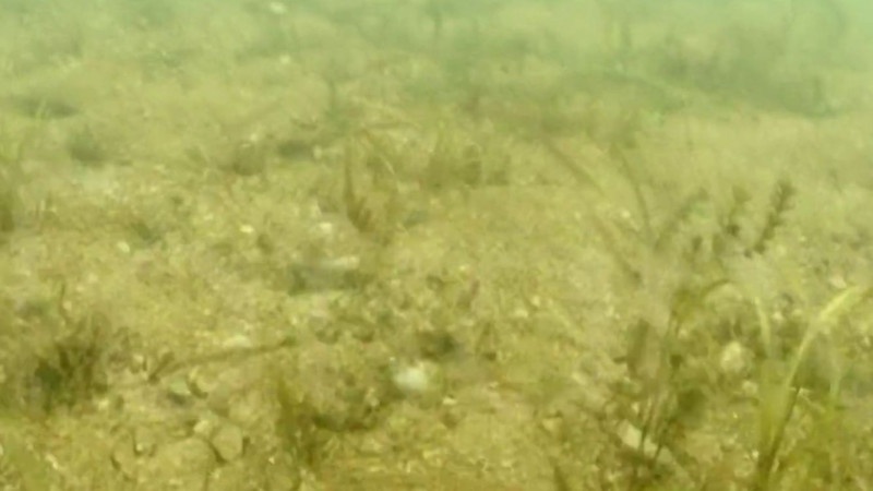 vlcsnap 2018 02 01 18h28m05s12 1517502659