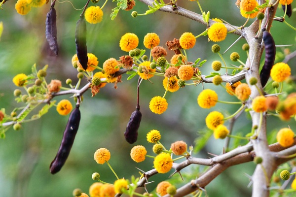 nafplio photografiko16