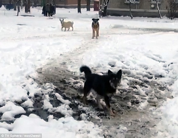 498209F100000578 0 image a 8 1519371085038