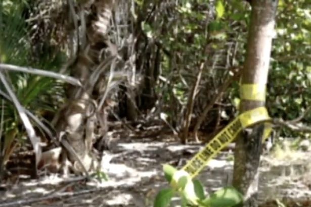 i skini tou egklimatos