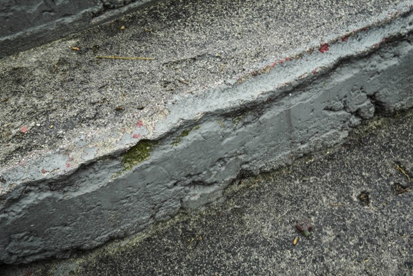 thomas marousi dolofonia4