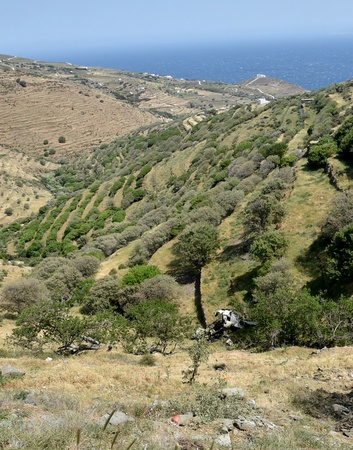 thnos dystyxhma aporrimmatoforo4