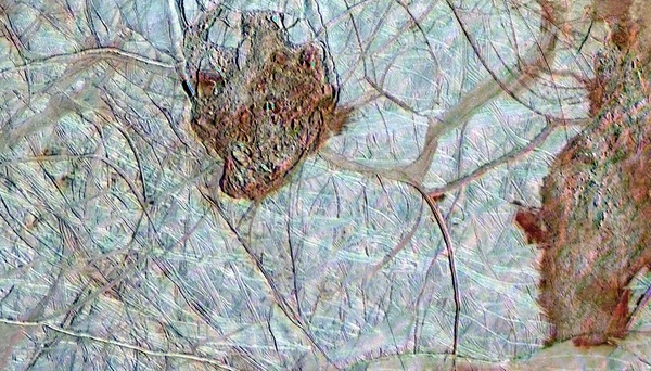 galileo europa surface 8