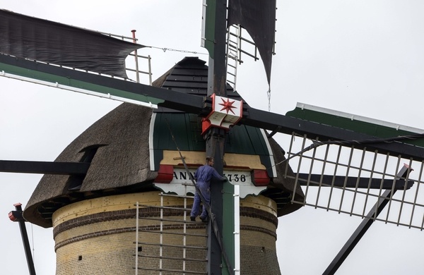 ollandia photo bomb 3 copy