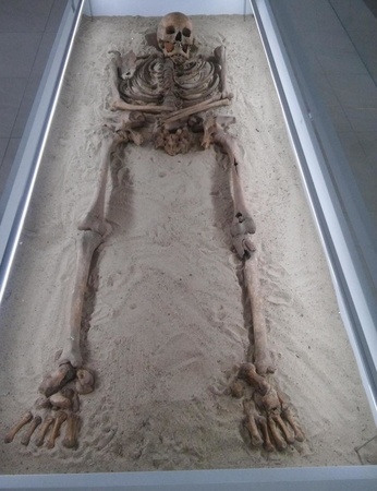 NINTCHDBPICT000418270781