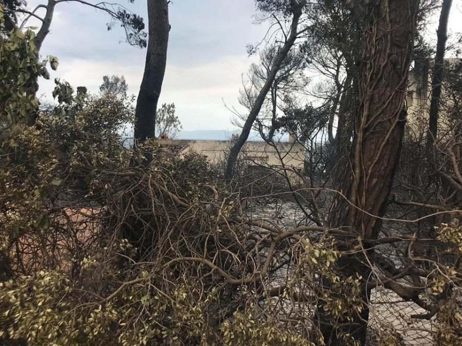 37687869 2027784923912399 4446449078837968896 n