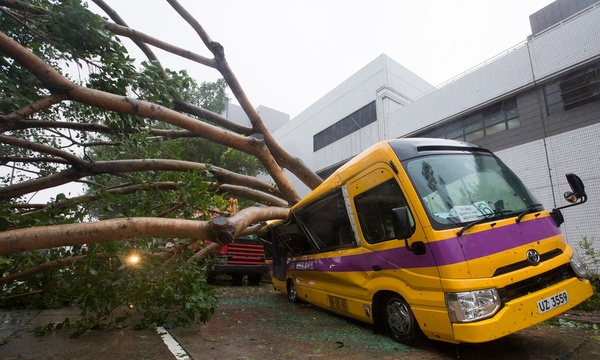 mangut rifwnas hong kong 1