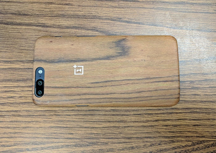 photo bomb camouflage 11