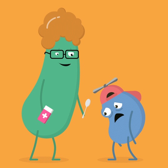 animation1 maincomp umc eng