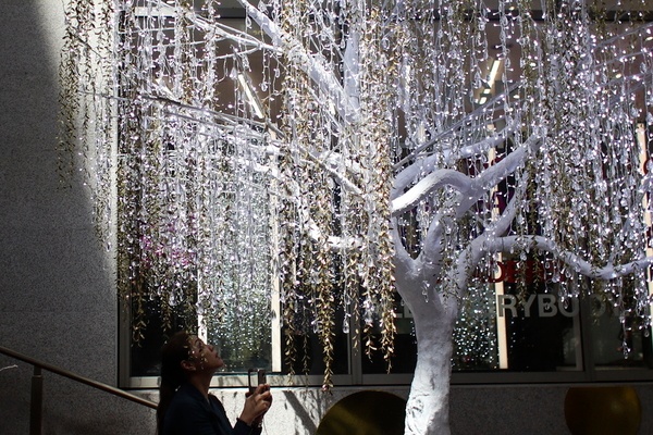 photo bomb christmas 13