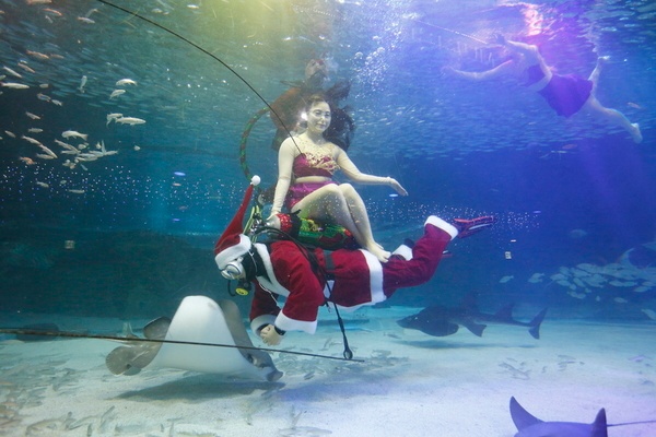 photo bomb christmas 6