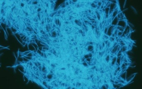 e85426beffe1f249a87824bf5194e942