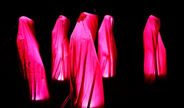 photo bomb germany lighs 10