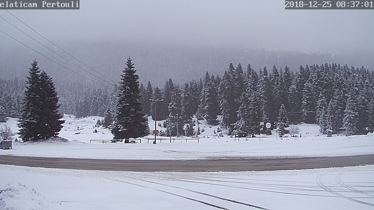 live camera elaticam 1