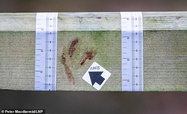 8162702 6559877 image m 3 1546706962664