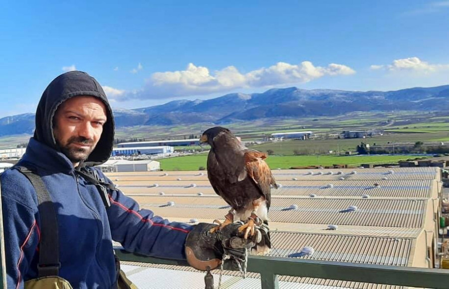 Γεράκι μονάδα